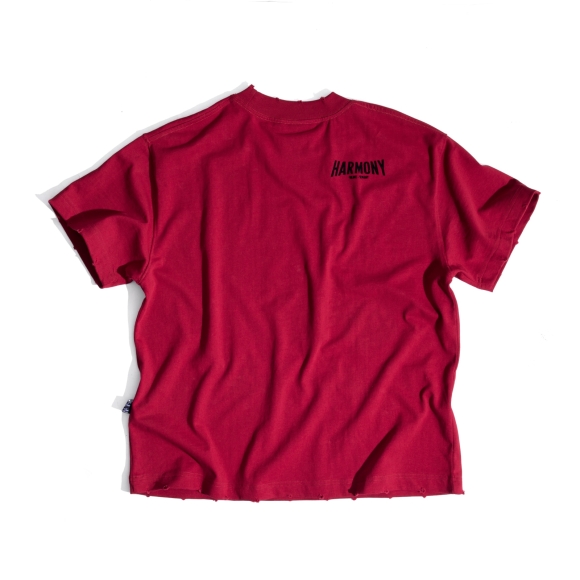 HARMONY TSHIRT - VELVET