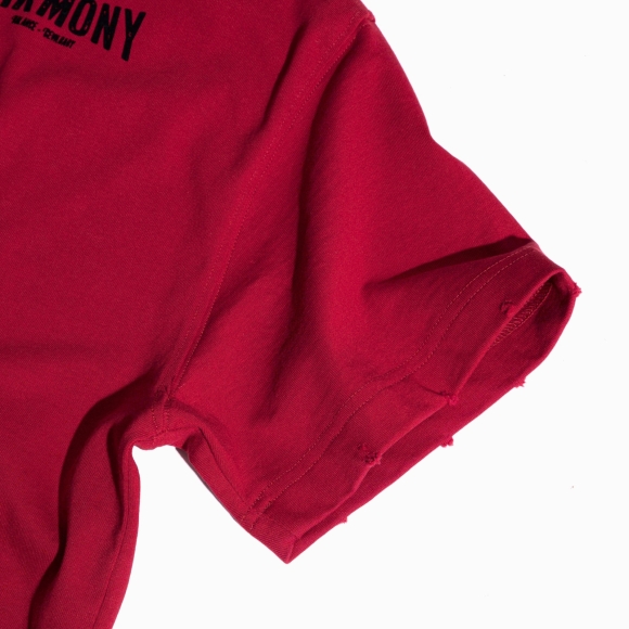 HARMONY TSHIRT - VELVET