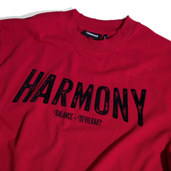 HARMONY TSHIRT - VELVET